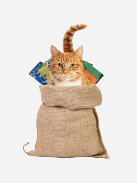 Včelobal - dobré skutky v česko-slovenské spolupráci