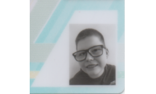 Dominik Kovařík