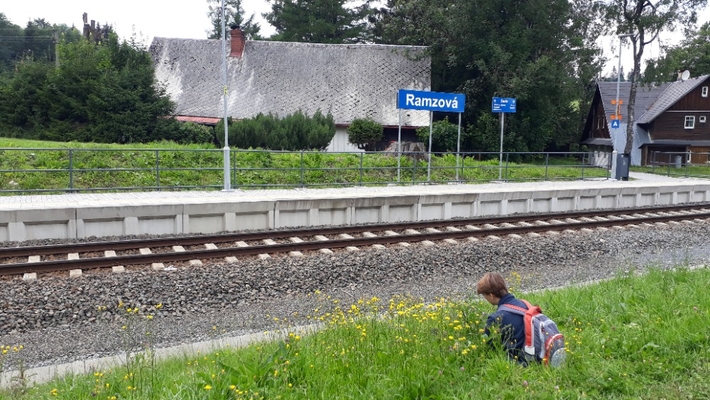 Jan Stanislav Mokrý V